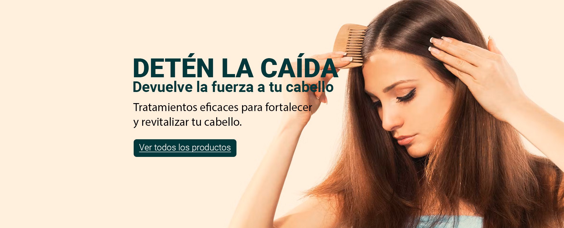Anticaida